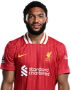 Joe Gomez