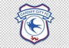 Cardiff City