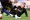 Why Luka Vuskovic’s Performance vs Reading Has Spurs Fans Buzzing
