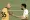 Jonjo Shelvey Stars for Hull City