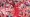 Virgil van Dijk Celebrates 34th Birthday: A Legacy of Greatness at Liverpool Football Club