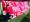 Joey Jones: A Tribute to a Welsh Football Legend