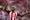How Yoane Wissa Could Fit in at Newcastle United: A Perfect Match for Eddie Howe’s System