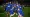 Top 10 Chelsea Academy Players Sold in Clearlake Era
