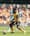 Wolves Fall To 0-1 Defeat To End Their Pre Season Efforts