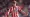 Everton Push for Southampton’s Tyler Dibling with £40m Bid