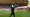Winless & Worried: Wolves pre-season slump sparks transfer alarm