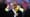 Gary Lineker Tips Chelsea’s New Teen Sensation to Shine