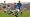 Marco Gabbiadini Hails Robin Roefs as Sunderland’s Standout Performer Against Crystal Palace