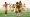 Player Profile: Jean-Philippe Mateta