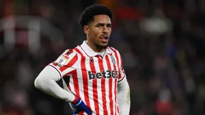 Stoke City Assess Options for Forward