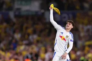 Harry Gray: The Gray Dynasty Continued