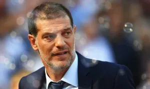 David Sullivan Plotting Shock Slaven Bilic Return as Potter Faces the Sack