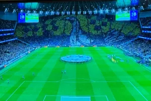 UCL Nights back at Spurs